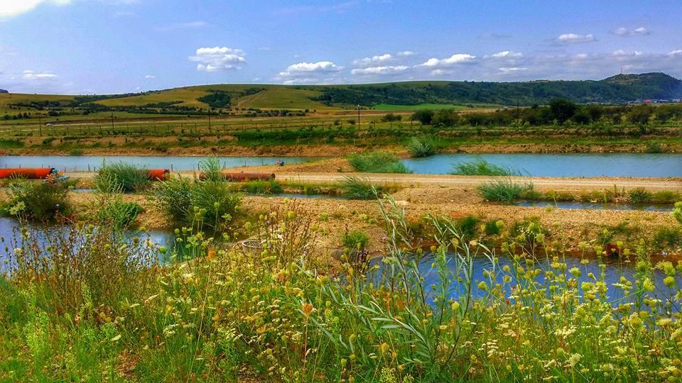 Pastravaria Ursu Vînători-Neamţ エクステリア 写真